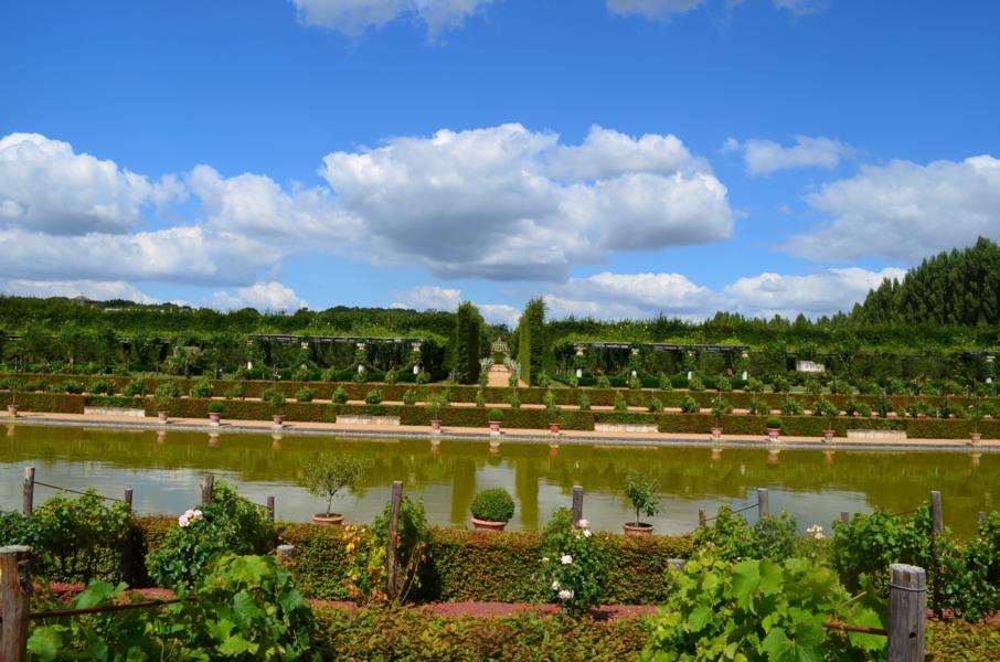 Champ de bataille